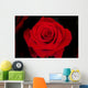 Rose Wall Mural
