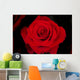 Rose Wall Mural