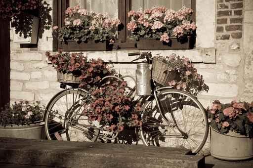 Le Velo Fleuri Wall Decal