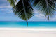 Traumstrand Wall Decal