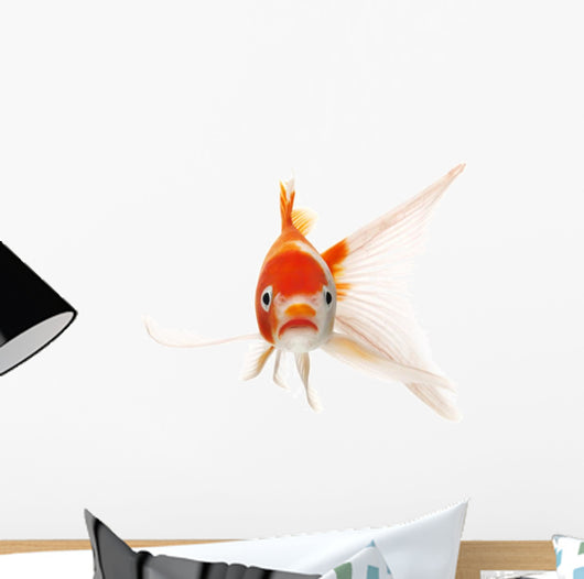 Red and White Koi Wall Decal