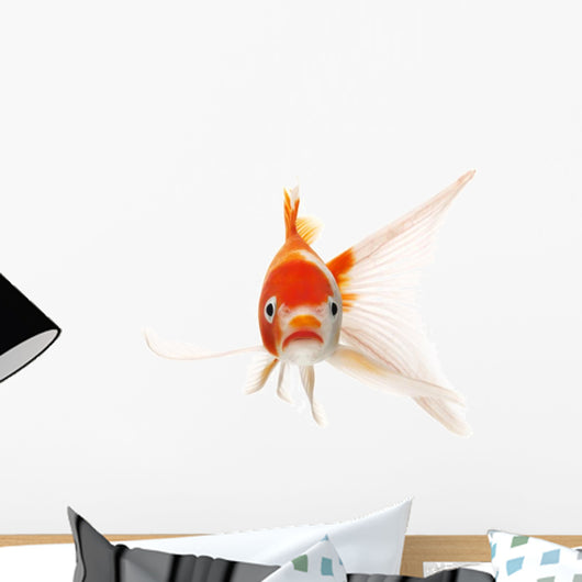 Red and White Koi Fish Wall Decal
