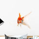 Red and White Koi Fish Wall Decal