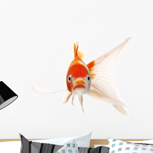 Red and White Koi Fish Wall Decal