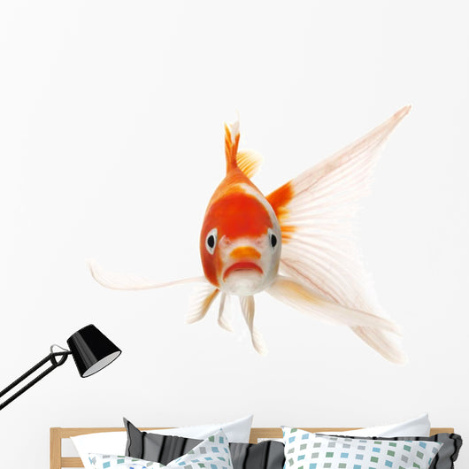 Red and White Koi Fish Wall Decal