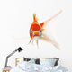 Red and White Koi Fish Wall Decal