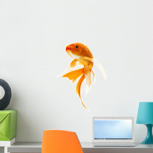 Golden Koi Fish Wall Decal