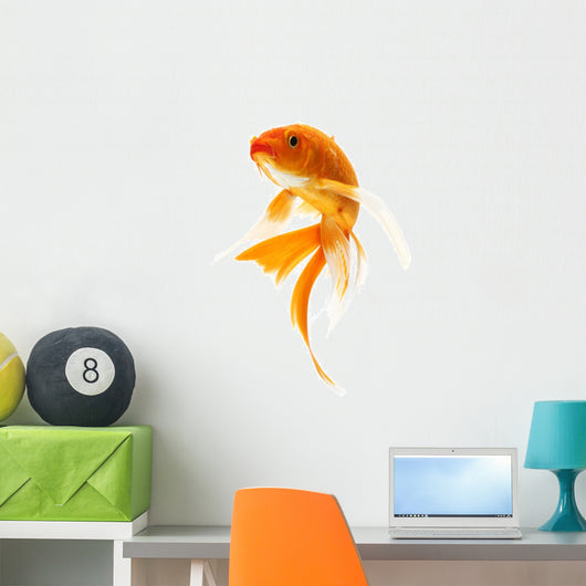 Golden Koi Fish Wall Decal