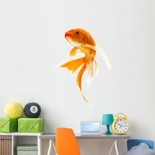 Golden Koi Fish Wall Decal