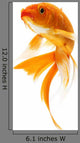 Golden Koi Fish Wall Decal