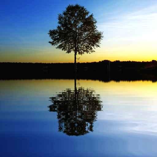 Dual World Wall Decal