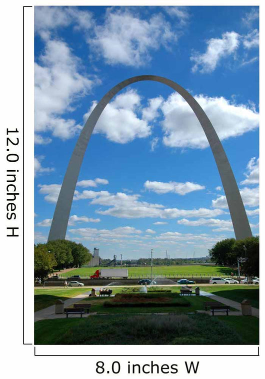 Saint Louis Arch Wall Mural