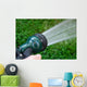 Garden Hose Wall Mural