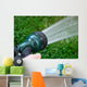 Garden Hose Wall Mural