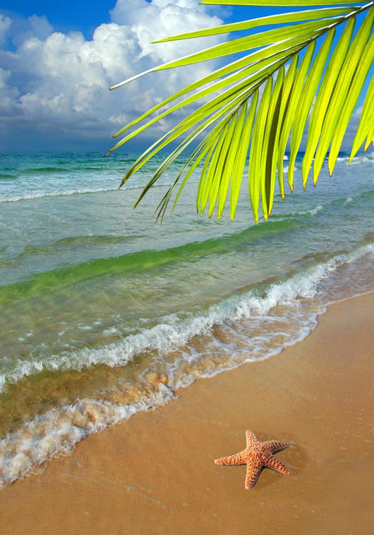 Paradise With Palm Tree Wall Mural