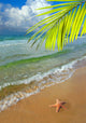 Paradise With Palm Tree Wall Mural
