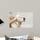 Bathroom to Dog