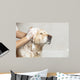 Bathroom to Dog