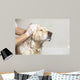 Bathroom to Dog