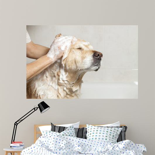 Bathroom to Dog