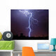 Lightning Tucson Wall Decal