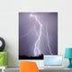 Lightning Strike Tucson Wall Decal