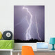 Lightning Strike Tucson Wall Decal