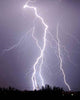 Lightning Strike Tucson Wall Decal