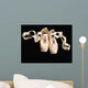 Pointe Ballet Shoes Wall Decal