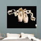 Pointe Ballet Shoes Wall Decal