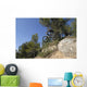 descente vtt Wall Mural