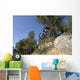 descente vtt Wall Mural