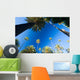 California palm trees Wall Mural
