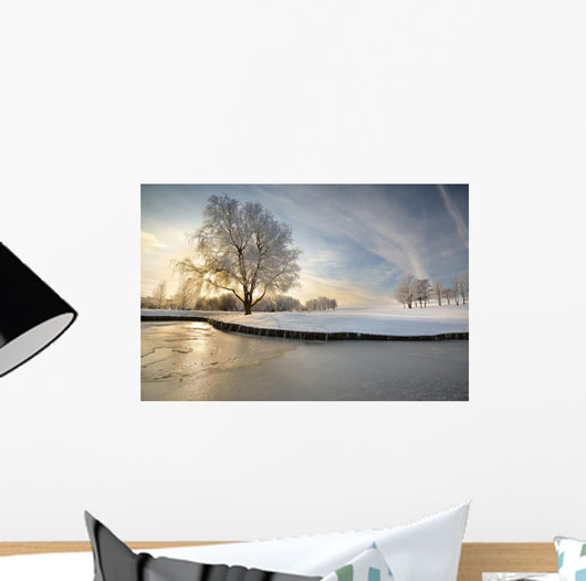 Winter Lake