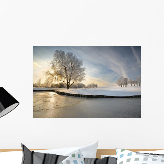 Winter Lake