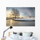 Winter Lake