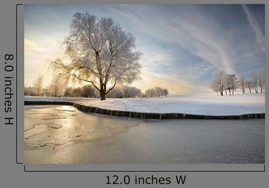 Winter Lake