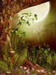 Old Tree Forest