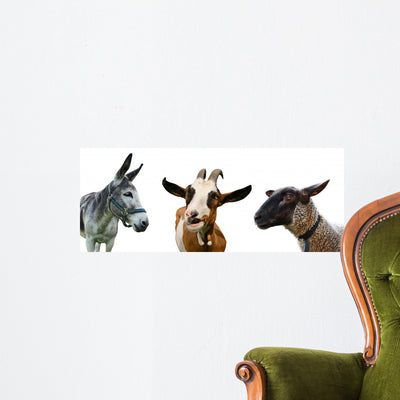 Farm Animals shown on a wall