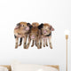 Three Oxford Sandy and Wall Decal