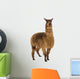 Alpaca against white background Wall Decal