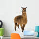 Alpaca against white background Wall Decal