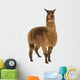 Alpaca against white background Wall Decal