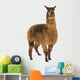 Alpaca against white background Wall Decal