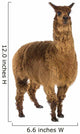 Alpaca against white background Wall Decal