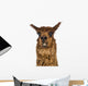 Close-up of Alpaca smiling against white background Wall Decal