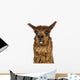 Close-up of Alpaca smiling against white background Wall Decal