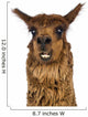 Close-up of Alpaca smiling against white background Wall Decal