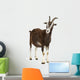 Toggenburg Goat against White Wall Decal