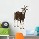 Toggenburg Goat against White Wall Decal